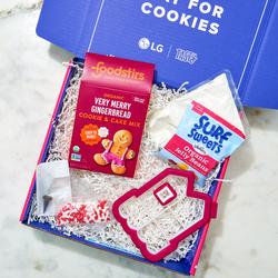 Ultimate Mini Gingerbread House Cookie Kit - LG Tasty Cookie Club